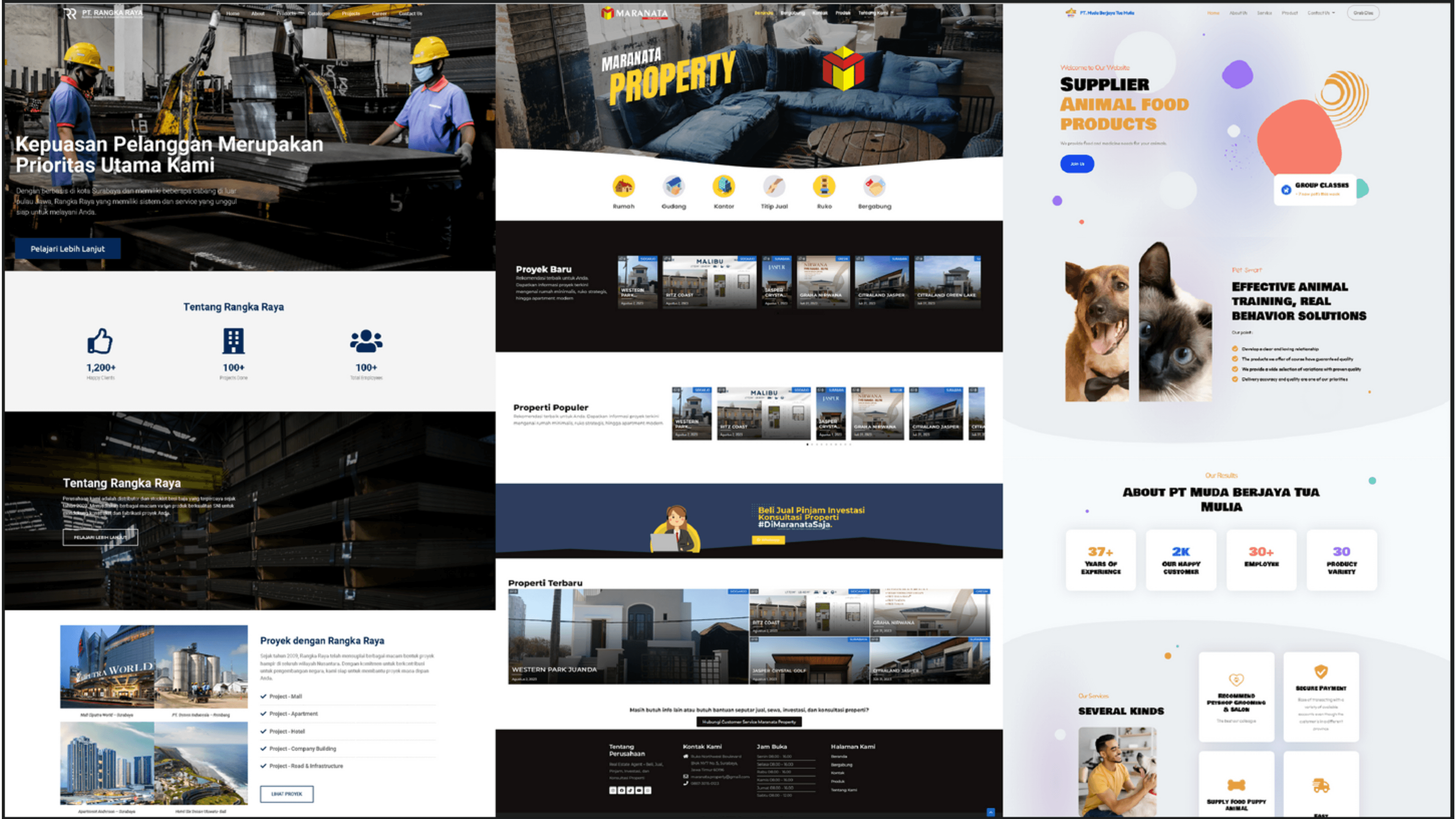 Website project 2